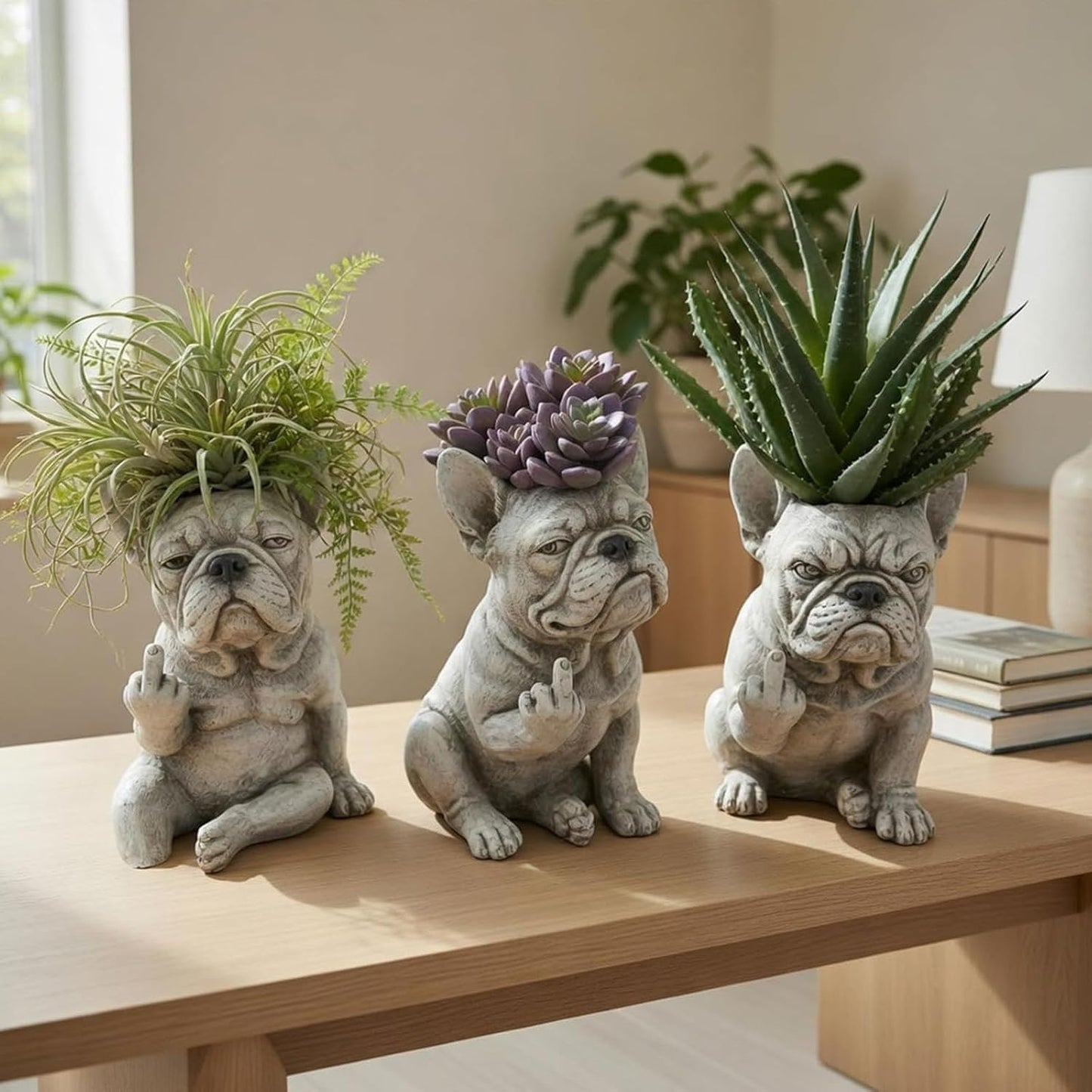 Grumpy Dog Planter for Succulents