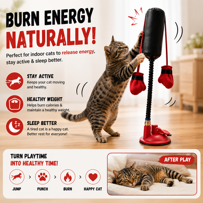🐱Interactive Cat Punching Bag Toy with Suction Base & Catnip – Indoor Exercise Toy for Cats🥊