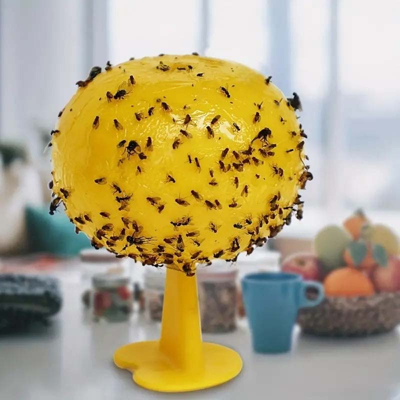 Fruit Fly & Sticky Trap Balls 🐝🍯