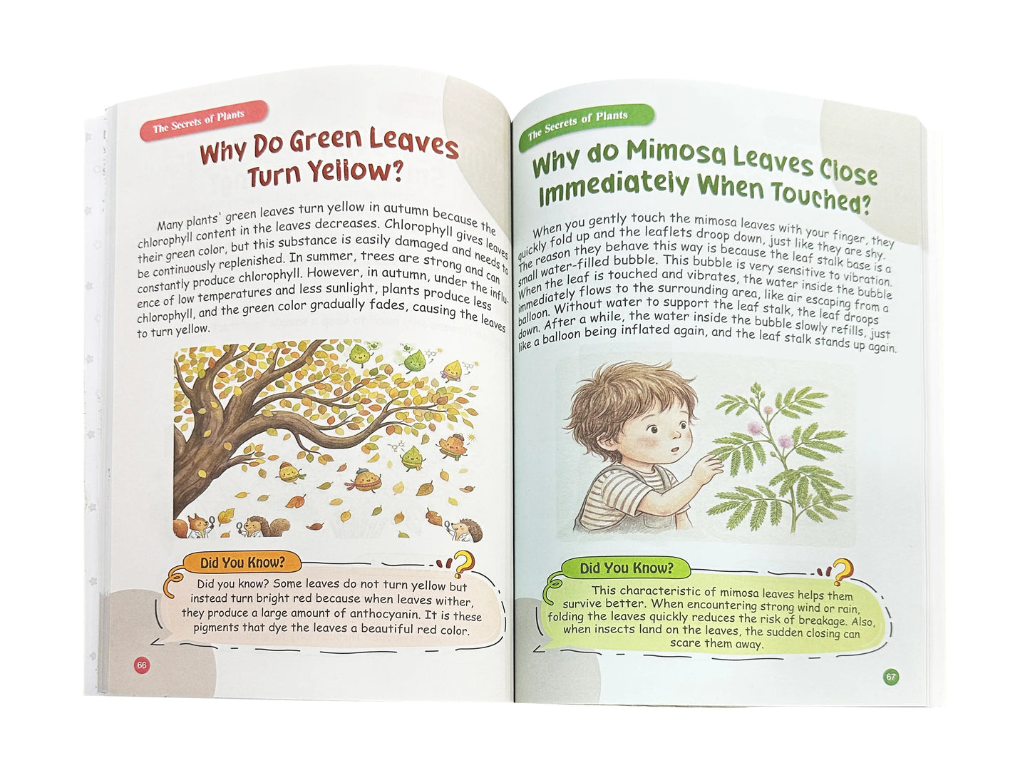 📚 100,000 Whys Kids Learning Notebook – Fun Educational Journal for Curious Young Minds