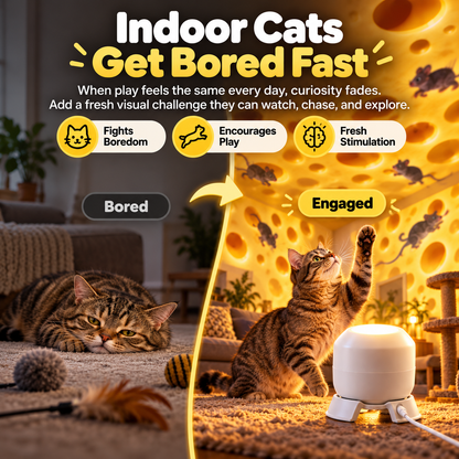 🐱Cat Mouse Chase Projector – Turn Any Room Into a Play Zone