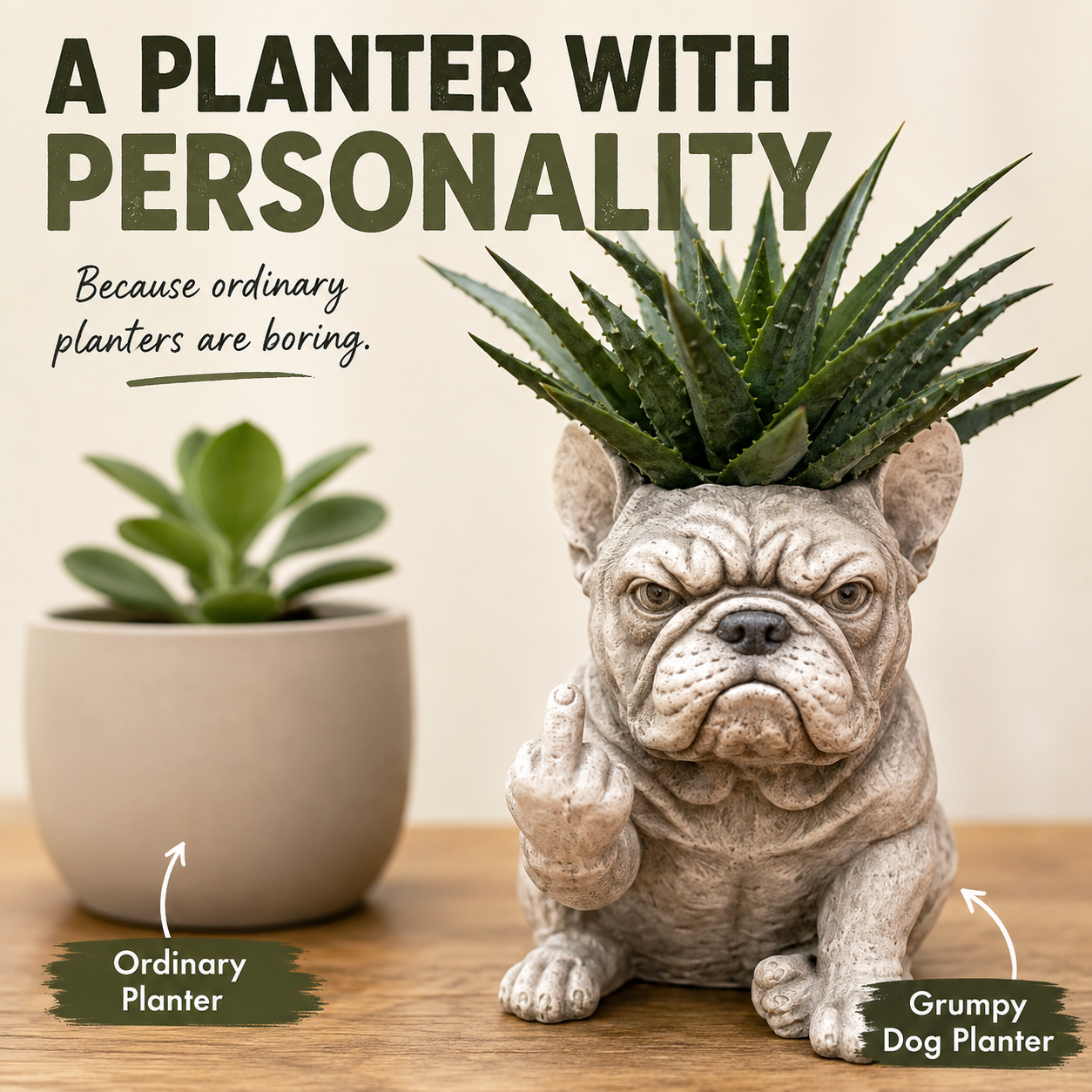 Grumpy Dog Planter for Succulents