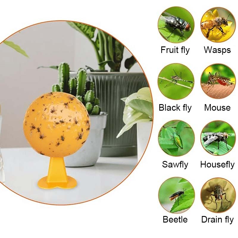 Fruit Fly & Sticky Trap Balls 🐝🍯