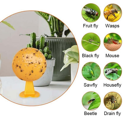 Fruit Fly & Sticky Trap Balls 🐝🍯