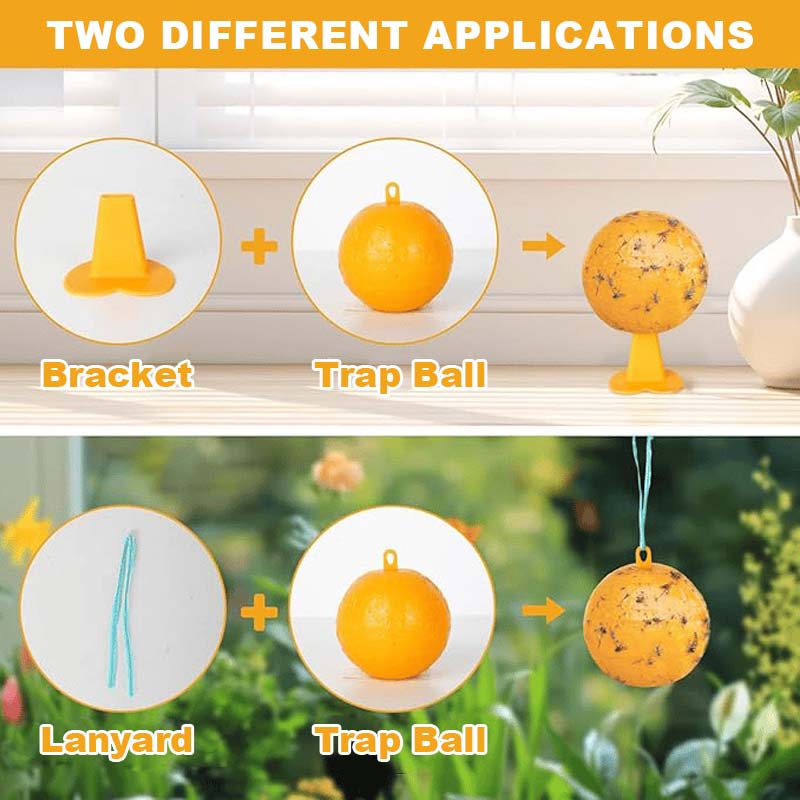 Fruit Fly & Sticky Trap Balls 🐝🍯