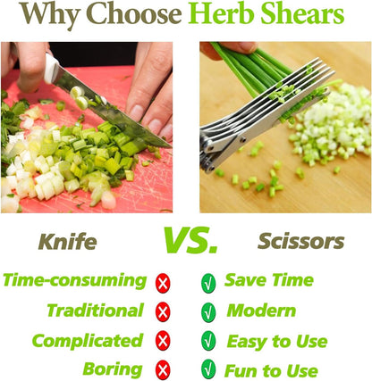 ✂️5-Blade Stainless Steel Herb Scissors with Cleaning Brush & Protective Cover