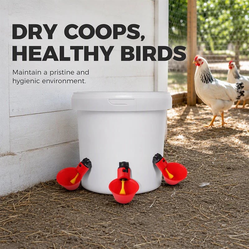 Multiple poultry waterer cups installed around a bucket in a chicken coop