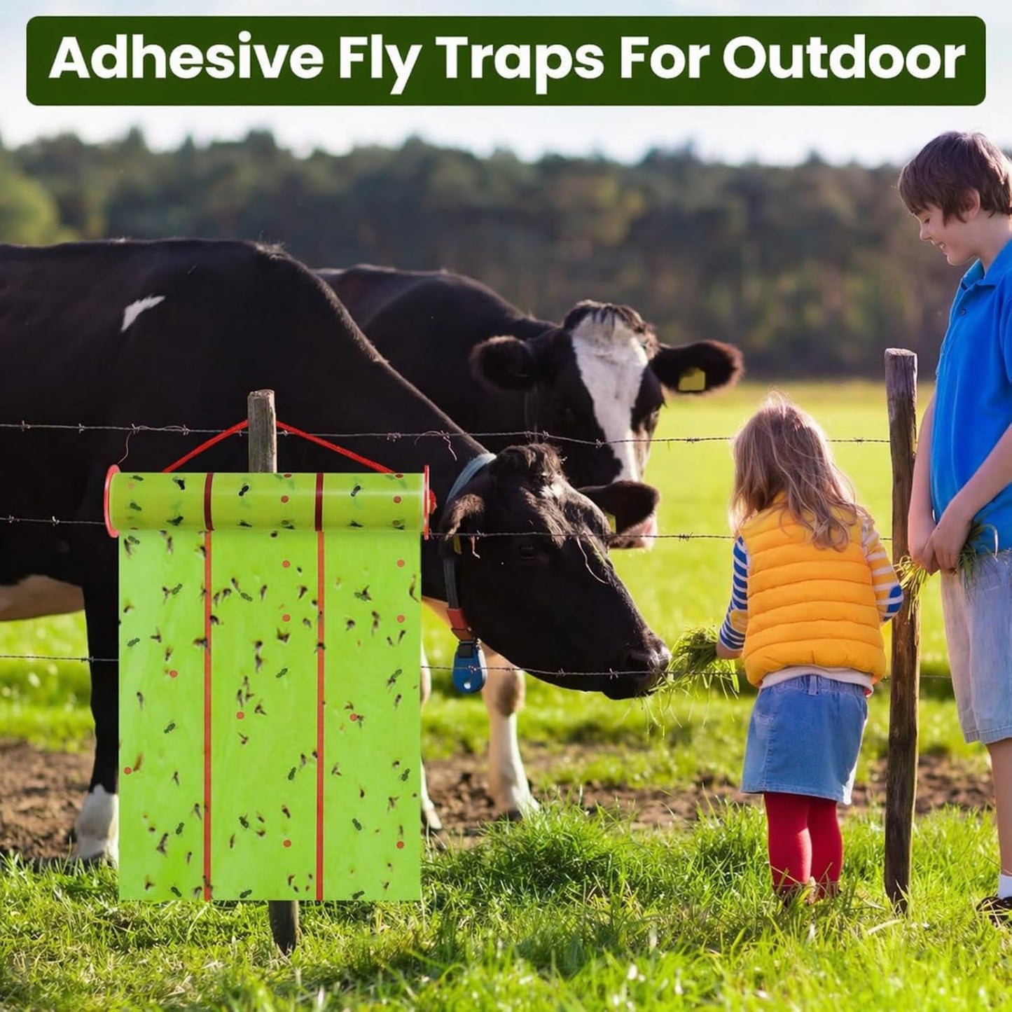 Giant Sticky Fly Traps, Fly Strips for Indoor Outdoor Hanging Flying Tapes Non Toxic Ribbon Fruit Gnat Killer for Mosquito Plants House Horse Stable