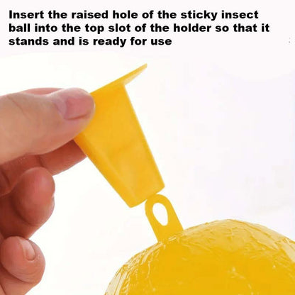 Fruit Fly & Sticky Trap Balls 🐝🍯