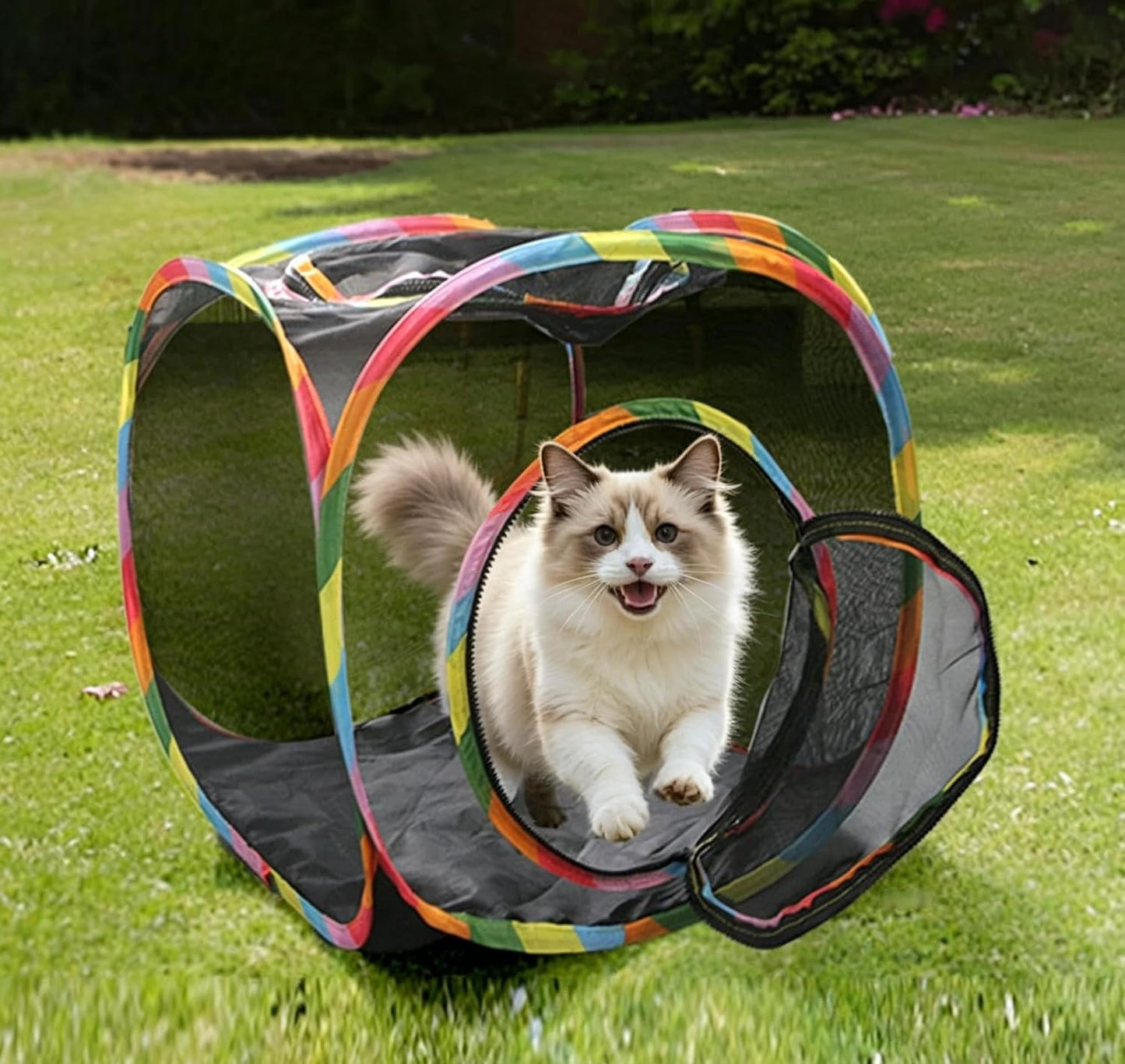 🐱The Cozy Foldable Hideaway Your Cat Will Love