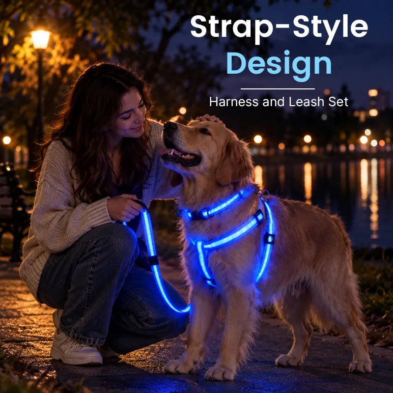 Dog owner enjoying an evening walk with a golden retriever wearing a bright blue LED harness and leash
