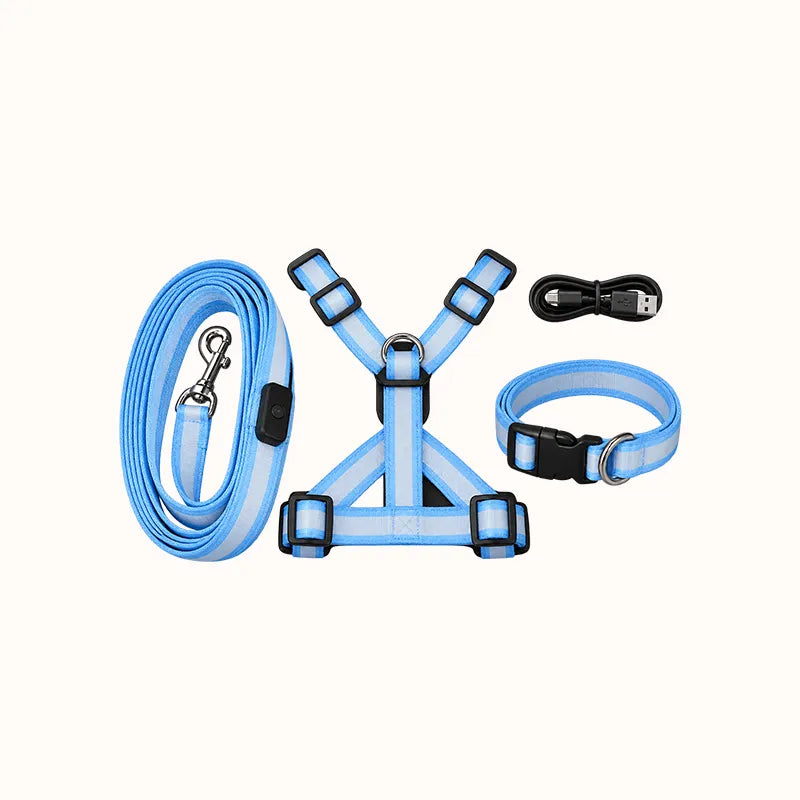 Blue LED dog harness, matching collar and leash arranged together with USB charging cable