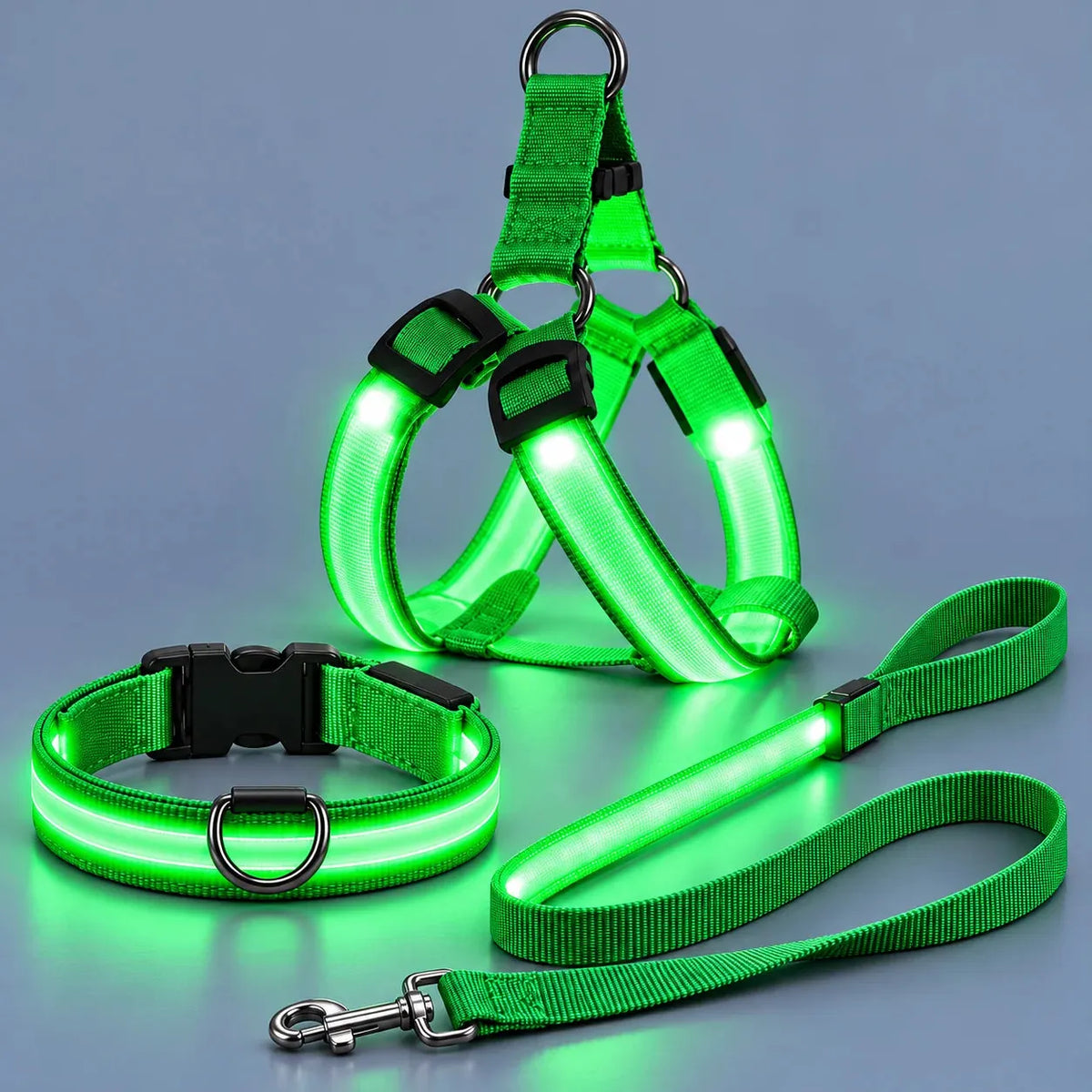 Green illuminated dog harness, matching collar and leash set