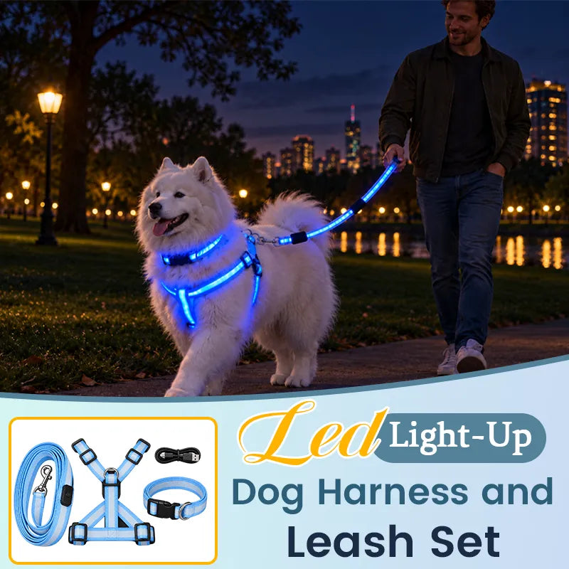 LED light-up dog harness and leash set with a dog wearing bright blue glowing walking gear at night