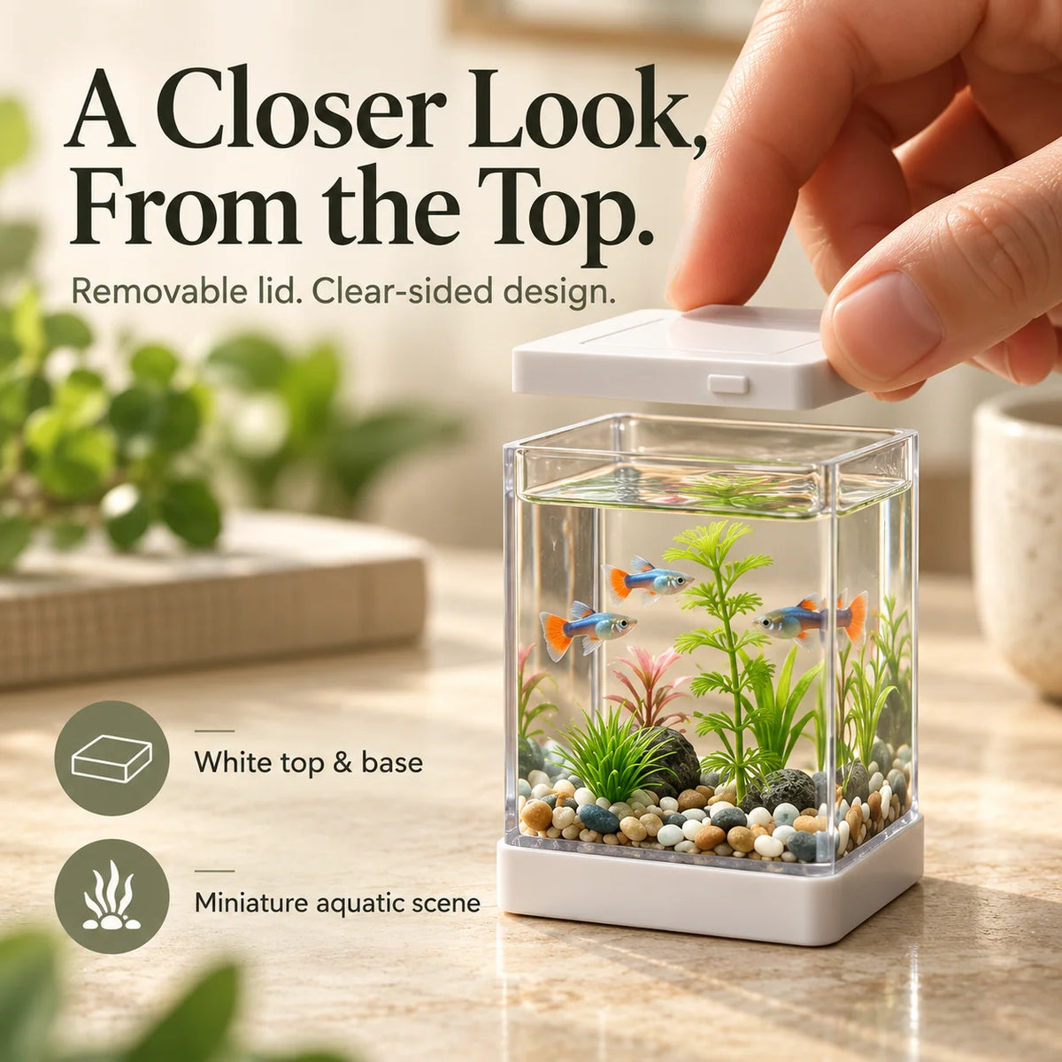 🐠🌿 Mini Desktop Aquarium Display – Clear-Sided Fish Scene with Decorative Plants, Pebble Details & Removable Top | Cozy Desk Decor ✨