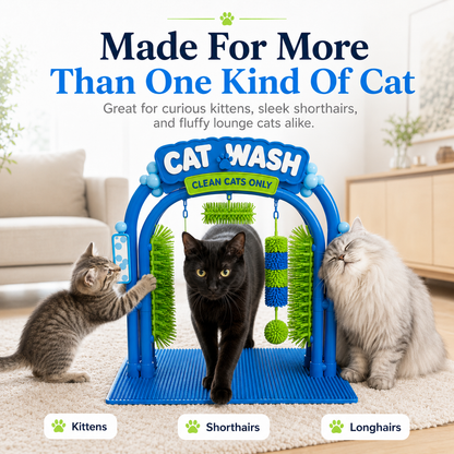 🐱The Cat Wash Self-Grooming Cat Brush & Play Station