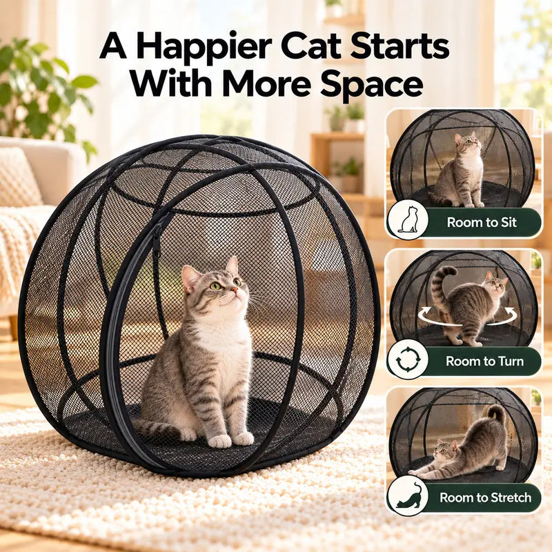 Cat sitting comfortably in a spacious rounded black mesh playpen with room to sit, turn and stretch
