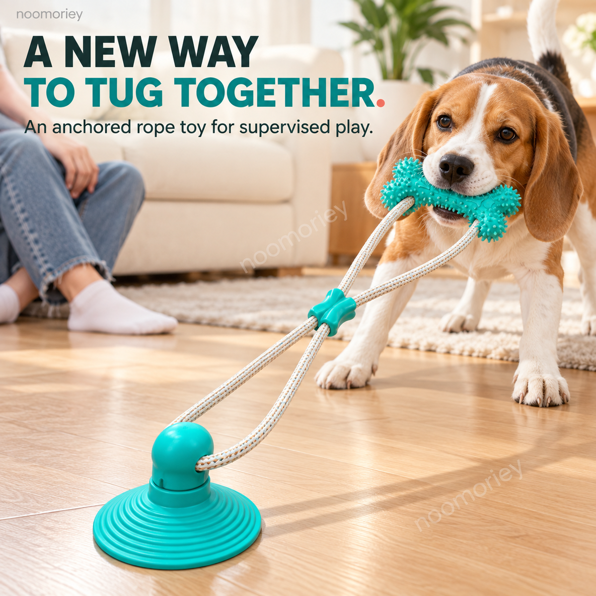Dog tugging the connected toy with the suction base attached