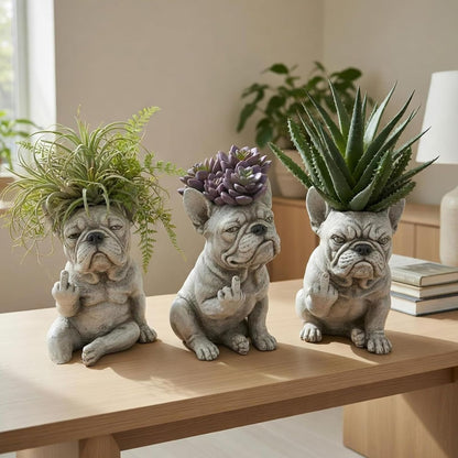 Grumpy Dog Planter for Succulents