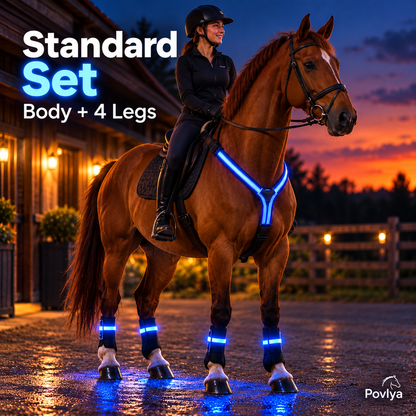 🐴 LED Horse Light Set – Neck, Tail & 4 Leg Bands ✨