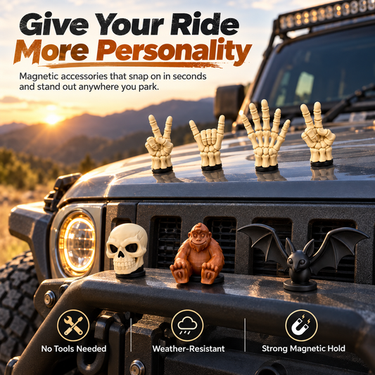 Magnetic Vehicle Accessory