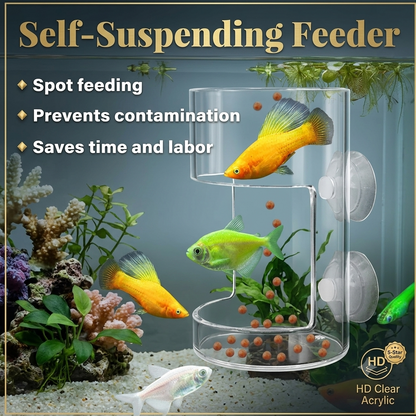 🐟✨Aquarium Feeding Ring and Tray