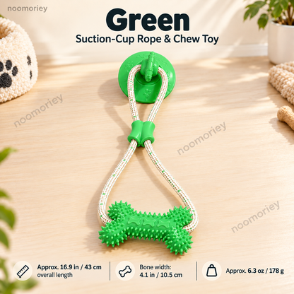 Green suction cup rope and textured bone dog toy