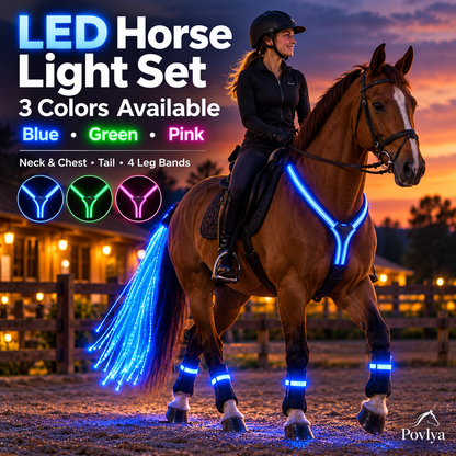 🐴 LED Horse Light Set – Neck, Tail & 4 Leg Bands ✨