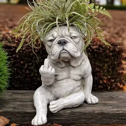Grumpy Dog Planter for Succulents