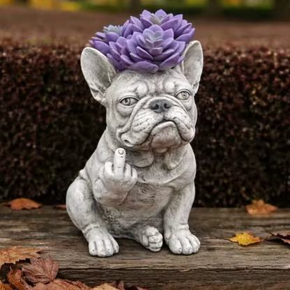 Grumpy Dog Planter for Succulents
