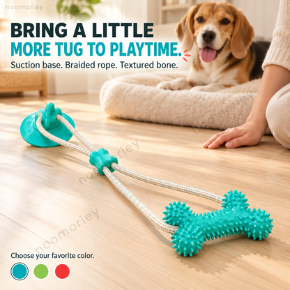 Dog playing with the teal suction cup tug toy