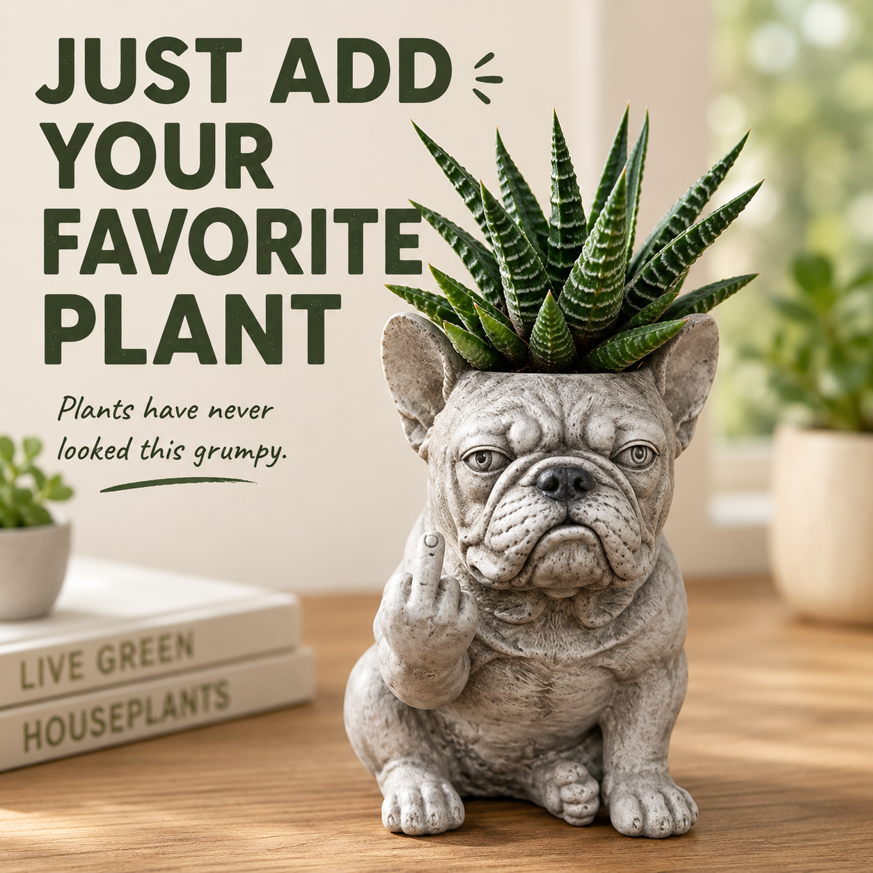 Grumpy Dog Planter for Succulents