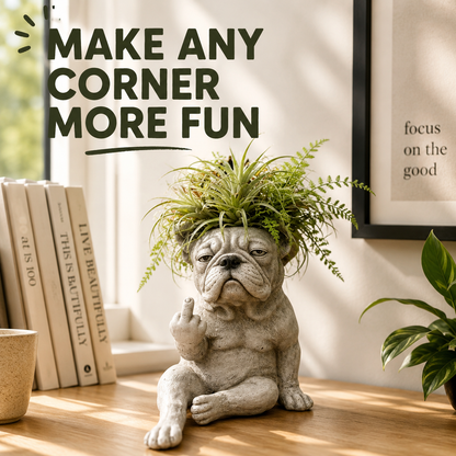 Grumpy Dog Planter for Succulents