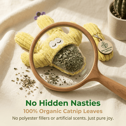 🎁Last Day Promotion 49% OFF🔥Handmade Soft Cactus Kitten Chew Toys with Natural Catnip