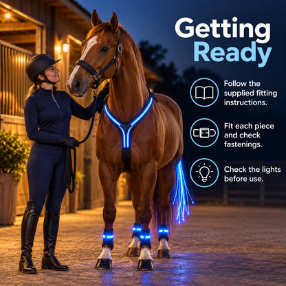🐴 LED Horse Light Set – Neck, Tail & 4 Leg Bands ✨