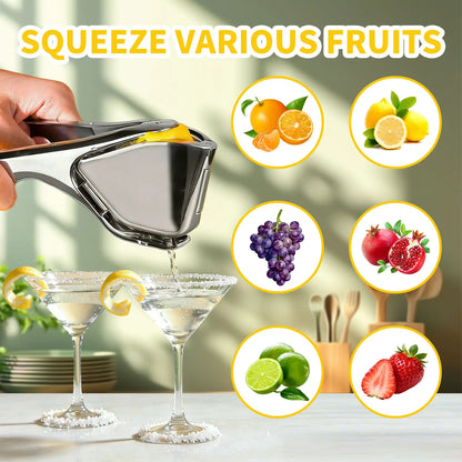 Zinc Alloy Citrus Squeezer