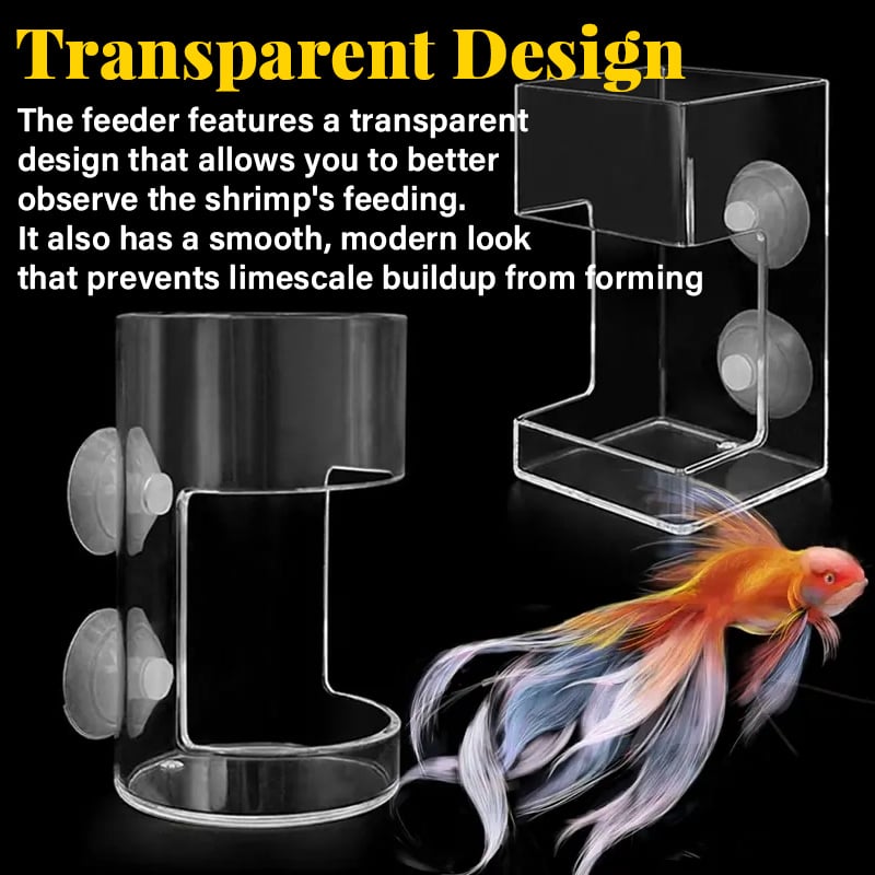 🐟✨Aquarium Feeding Ring and Tray