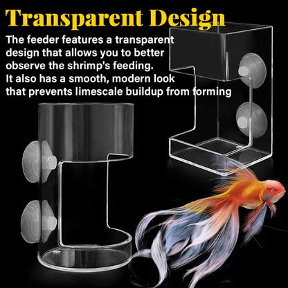 🐟✨Aquarium Feeding Ring and Tray