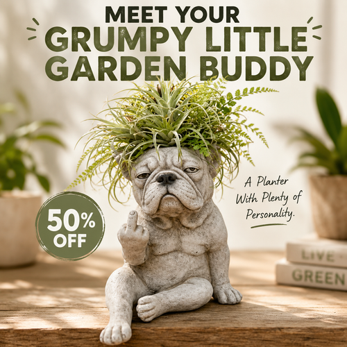 Grumpy Dog Planter for Succulents