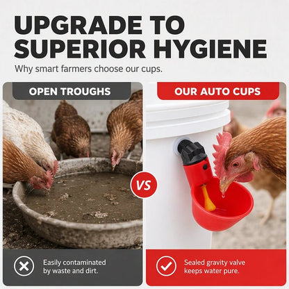 📍Gravity-Fed Automatic Chicken Waterer Cups