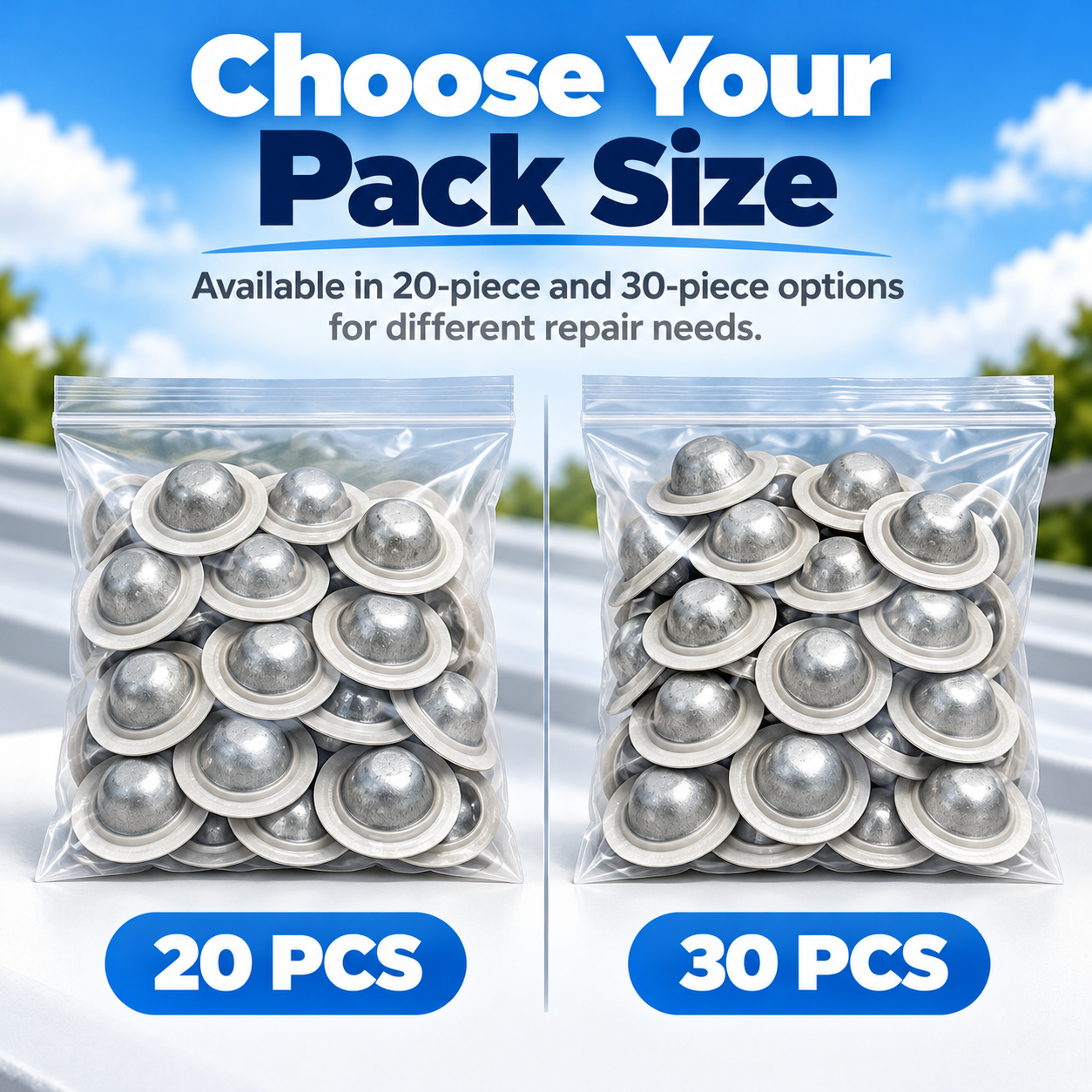 Two clear bags of silver metal screw cover caps labeled 20 pieces and 30 pieces