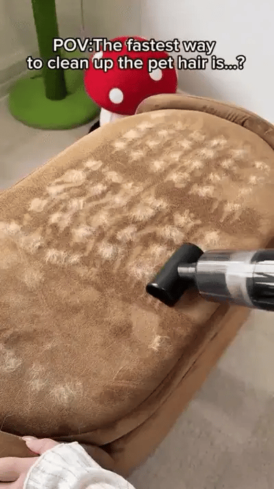Pet grooming glove removing loose pet hair from a brown fabric sofa.