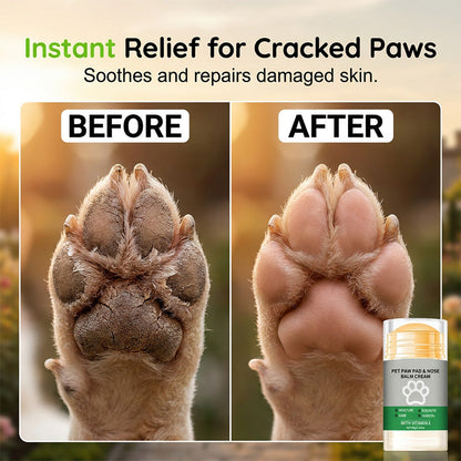 🥳2026 HOT SALE💞50K+ SOLD!🐾✨ 50% OFF! Moisturizing Pet Paw Balm Stick – Natural ingredients, safe to lick. Instant relief for cracked paws & noses. 🌿🛡️