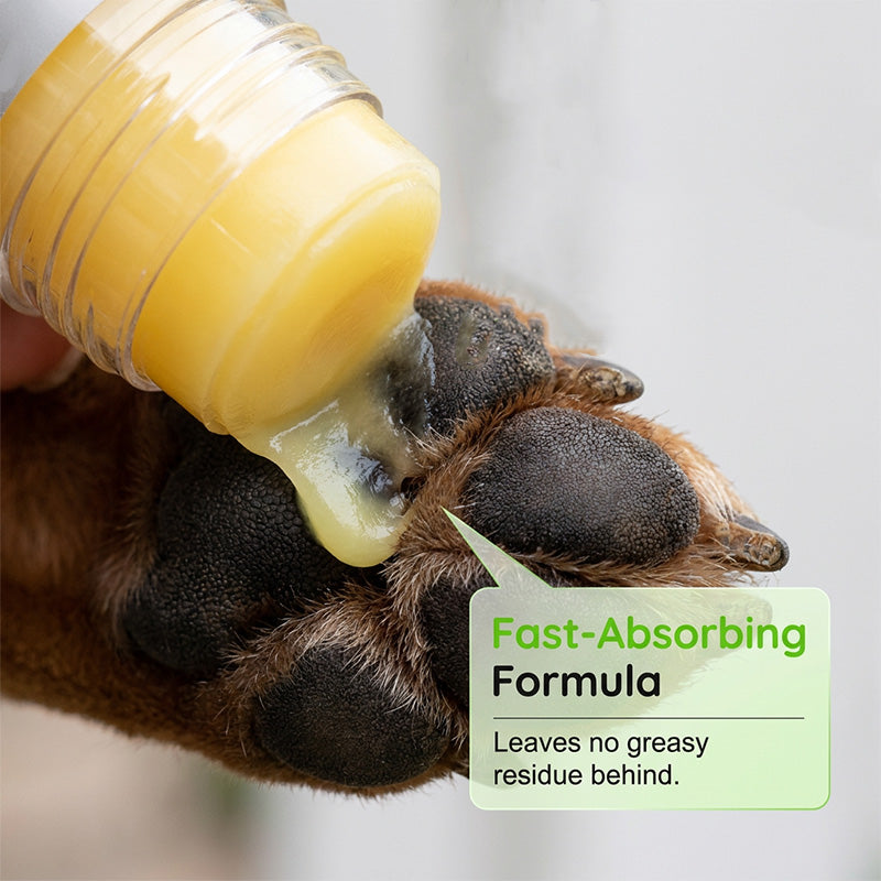 🥳2026 HOT SALE💞50K+ SOLD!🐾✨ 50% OFF! Moisturizing Pet Paw Balm Stick – Natural ingredients, safe to lick. Instant relief for cracked paws & noses. 🌿🛡️