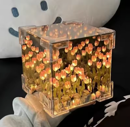 🌷Tulip Cube Night Light